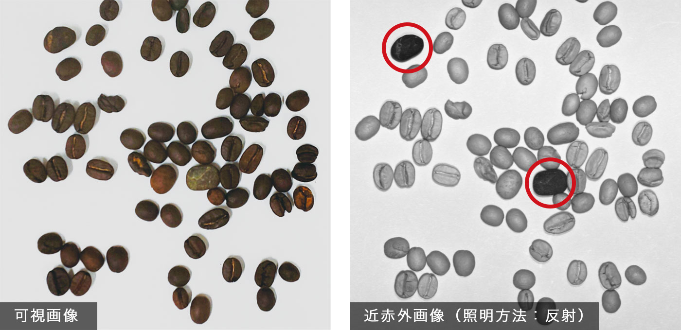 コーヒー豆の混入比較画像
